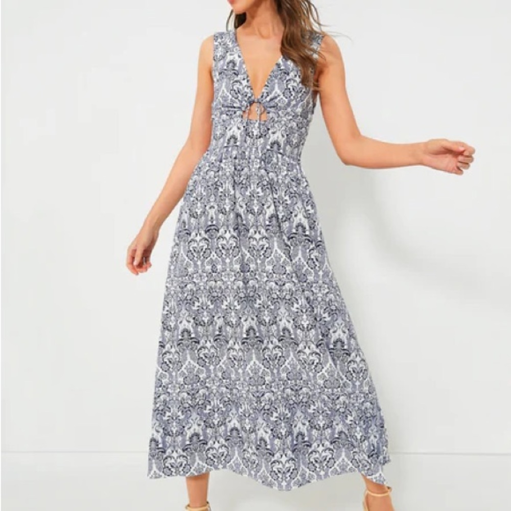Tuckernuck Blue and White Maxi Dress